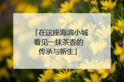 在这座海滨小城 看见一抹茶香的传承与新生
