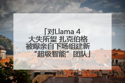对Llama 4大失所望 扎克伯格被曝亲自下场组建新“超级智能”团队
