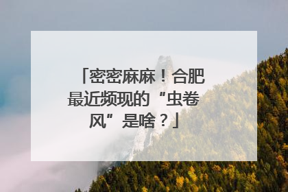 密密麻麻！合肥最近频现的“虫卷风”是啥？