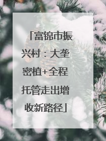 富锦市振兴村：大垄密植+全程托管走出增收新路径