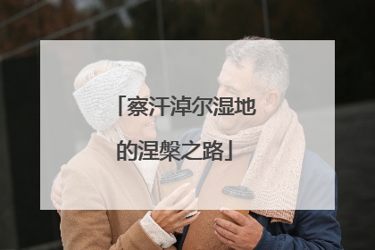 察汗淖尔湿地的涅槃之路