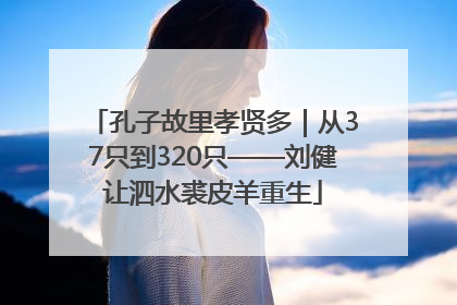 孔子故里孝贤多｜从37只到320只——刘健让泗水裘皮羊重生