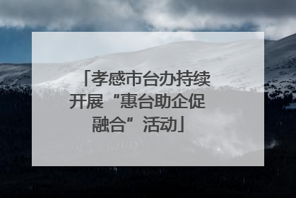 孝感市台办持续开展“惠台助企促融合”活动
