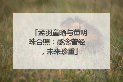 孟羽童晒与董明珠合照：感念曾经，未来珍重