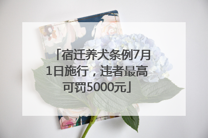 宿迁养犬条例7月1日施行，违者最高可罚5000元
