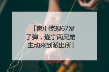 家中惊现67发子弹，遂宁两兄弟主动来到派出所