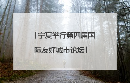 宁夏举行第四届国际友好城市论坛