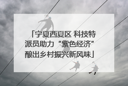 宁夏西夏区 科技特派员助力“紫色经济”酿出乡村振兴新风味