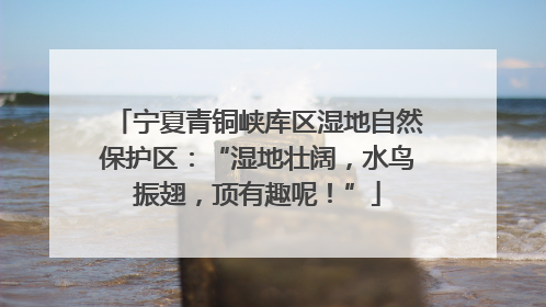 宁夏青铜峡库区湿地自然保护区：“湿地壮阔，水鸟振翅，顶有趣呢！”