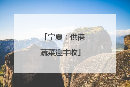 宁夏：供港蔬菜迎丰收