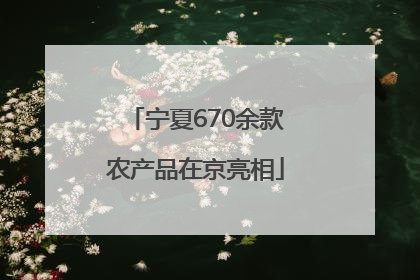 宁夏670余款农产品在京亮相