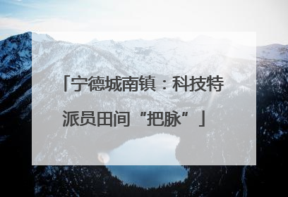 宁德城南镇：科技特派员田间“把脉”