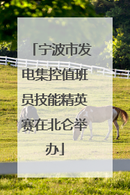 宁波市发电集控值班员技能精英赛在北仑举办