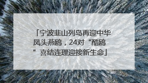 宁波韭山列岛再迎中华凤头燕鸥，24对“酷鸥”喜结连理迎接新生命