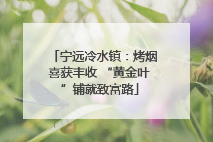 宁远冷水镇：烤烟喜获丰收 “黄金叶”铺就致富路