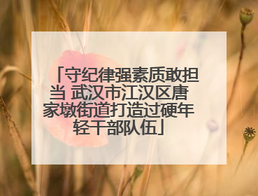 守纪律强素质敢担当 武汉市江汉区唐家墩街道打造过硬年轻干部队伍