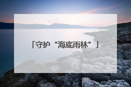 守护“海底雨林”