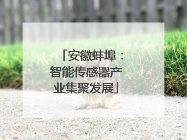 安徽蚌埠：智能传感器产业集聚发展