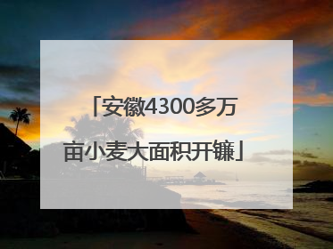 安徽4300多万亩小麦大面积开镰
