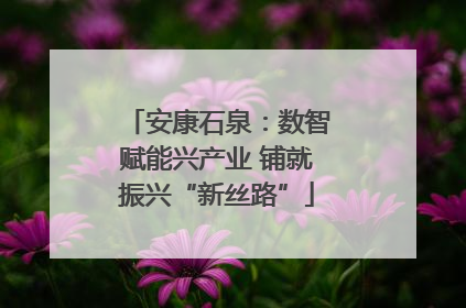 安康石泉：数智赋能兴产业 铺就振兴“新丝路”