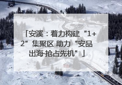 安溪：着力构建“1+2”集聚区 助力“安品出海·抢占先机”