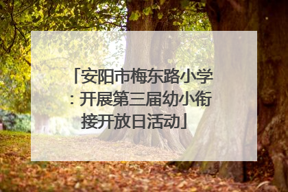 安阳市梅东路小学：开展第三届幼小衔接开放日活动
