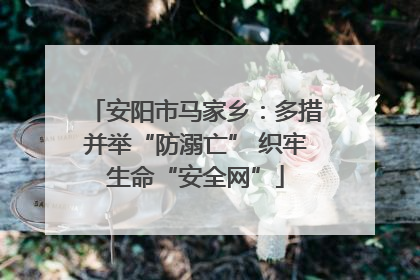 安阳市马家乡：多措并举“防溺亡” 织牢生命“安全网”