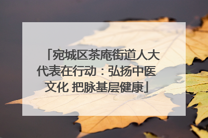 宛城区茶庵街道人大代表在行动：弘扬中医文化 把脉基层健康