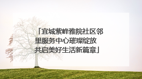 宜城紫峰雅院社区邻里服务中心璀璨绽放 共启美好生活新篇章