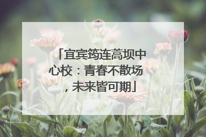 宜宾筠连蒿坝中心校：青春不散场，未来皆可期