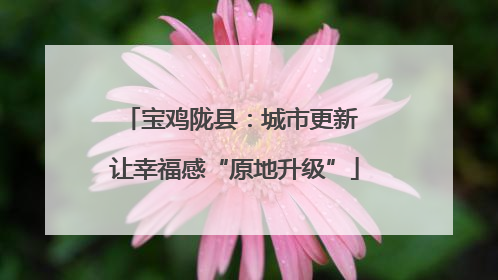 宝鸡陇县：城市更新 让幸福感“原地升级”