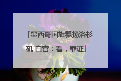 墨西哥国旗飘扬洛杉矶 白宫：看，罪证