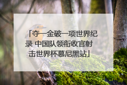 夺一金破一项世界纪录 中国队领衔收官射击世界杯慕尼黑站