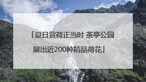 夏日赏荷正当时 茶亭公园展出近200种精品荷花