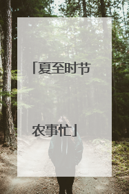 夏至时节农事忙