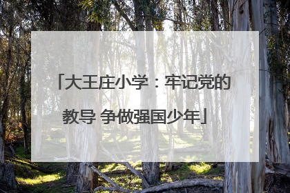 大王庄小学：牢记党的教导 争做强国少年