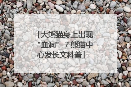 大熊猫身上出现“血洞”？熊猫中心发长文科普