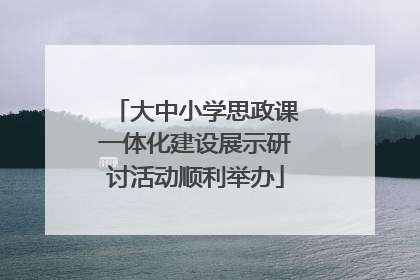 大中小学思政课一体化建设展示研讨活动顺利举办