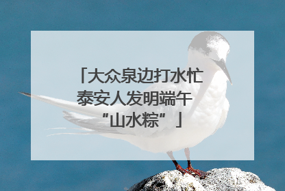 大众泉边打水忙 泰安人发明端午“山水粽”
