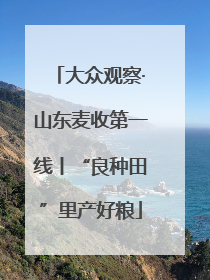 大众观察·山东麦收第一线丨“良种田”里产好粮