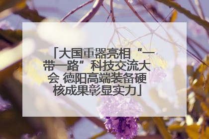大国重器亮相“一带一路”科技交流大会 德阳高端装备硬核成果彰显实力
