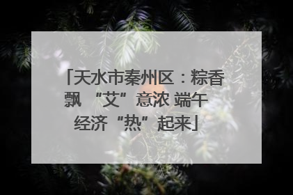 天水市秦州区：粽香飘 “艾”意浓 端午经济“热”起来
