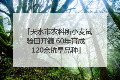 天水市农科所小麦试验田开镰 60年育成120余抗旱品种