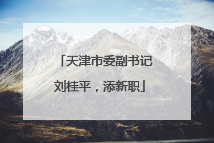 天津市委副书记刘桂平，添新职