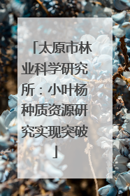 太原市林业科学研究所：小叶杨种质资源研究实现突破