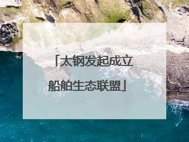 太钢发起成立船舶生态联盟