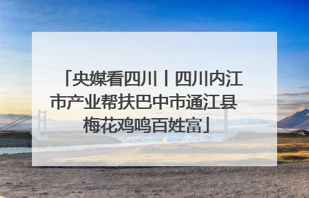 央媒看四川丨四川内江市产业帮扶巴中市通江县 梅花鸡鸣百姓富