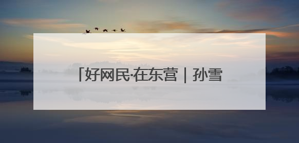 好网民·在东营｜孙雪慧：以“网”为媒传税音 以“屏”为介助发展