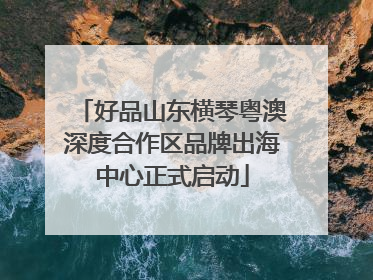 好品山东横琴粤澳深度合作区品牌出海中心正式启动