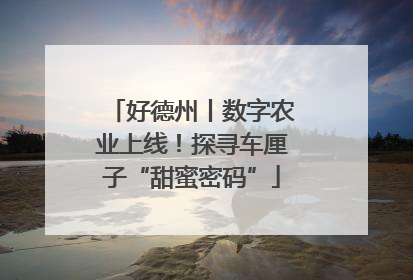 好德州丨数字农业上线！探寻车厘子“甜蜜密码”